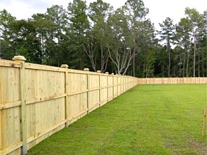 Wood Fencing 16